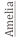 shapeimage_4_link_0