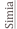 shapeimage_2_link_0