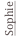 shapeimage_2_link_0