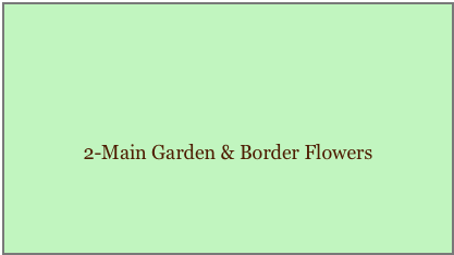 



2-Main Garden & Border Flowers